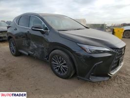 Lexus NX 2024 2