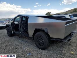 Tesla Pozostałe 2025