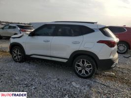 Kia Pozostałe 2021 1 Kia Pozostałe 2021 1