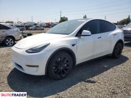 Tesla Model Y 2020