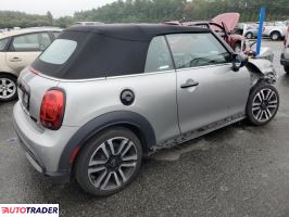Austin Mini 2024 2