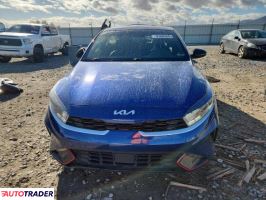 Kia Pozostałe 2024 2