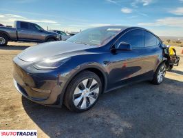 Tesla Model Y 2024