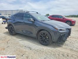 Lexus NX 2024 2