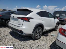 Lexus NX 2020 2