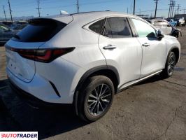 Lexus NX 2024 2