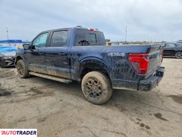 Ford Pozostałe 2024 3