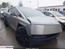 Tesla Pozostałe 2024