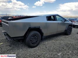 Tesla Pozostałe 2025