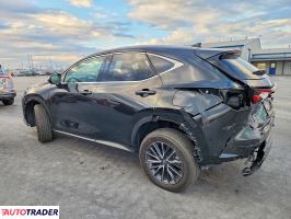 Lexus NX 2025 2