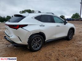 Lexus NX 2025 2