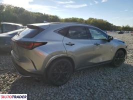 Lexus NX 2024 2