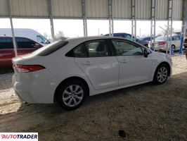 Toyota Corolla 2020 1