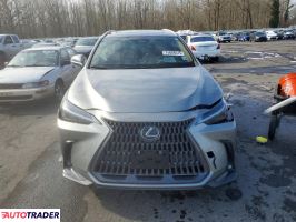 Lexus NX 2024 2
