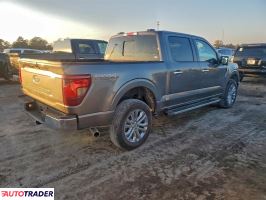 Ford Pozostałe 2024 3