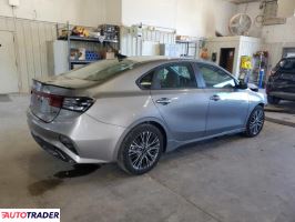 Kia Pozostałe 2024 2