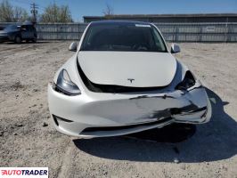 Tesla Model Y 2021 Tesla Model Y 2021