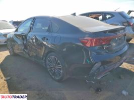 Kia Pozostałe 2024 1