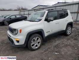 Jeep Renegade 2019 1