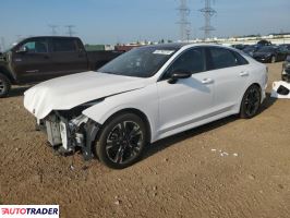 Kia Pozostałe 2021 1