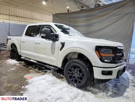 Ford Pozostałe 2024 3
