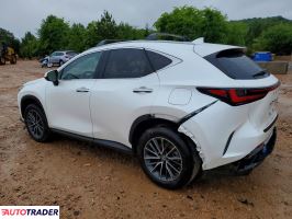 Lexus NX 2025 2