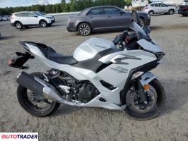 Kawasaki Pozostałe 2025