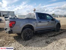 Ford Pozostałe 2024 5