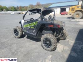 Arctic Cat Pozostałe 2020
