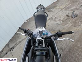Triumph Tiger 2022