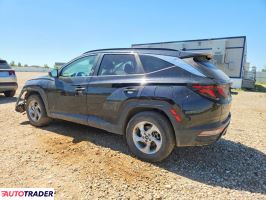 Hyundai Tucson 2024 2