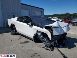 Tesla Pozostałe 2024 Tesla Pozostałe 2024