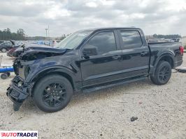 Ford Pozostałe 2024 2