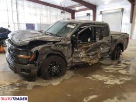 Ford Pozostałe 2024 3