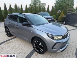 Opel Grandland X 2023 1.5 130 KM
