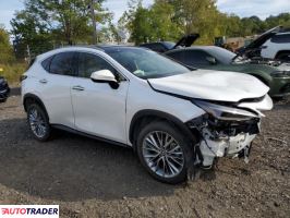 Lexus NX 2025 2