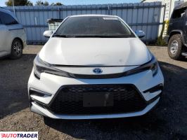 Toyota Corolla 2025 1