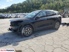 Ford Escape - zobacz ofertę