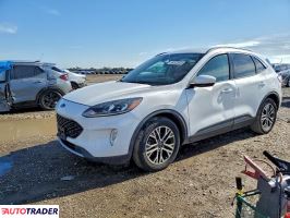 Ford Escape - zobacz ofertę