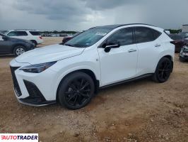 Lexus NX 2024 2