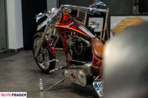 Harley-Davidson Custom 2013