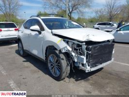 Lexus NX 2024 2