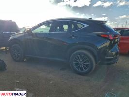 Lexus NX 2022 2