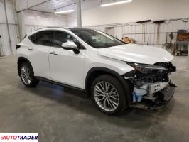 Lexus NX 2024 2 Lexus NX 2024 2