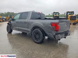 Ford Pozostałe 2025 2