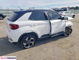 Hyundai Pozostałe 2024 1