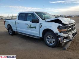 Ford Pozostałe 2024 3