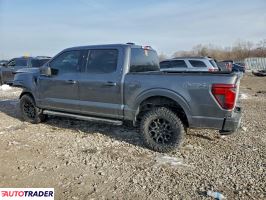 Ford Pozostałe 2024 3