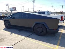 Tesla Pozostałe 2024