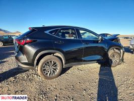 Lexus NX 2025 2